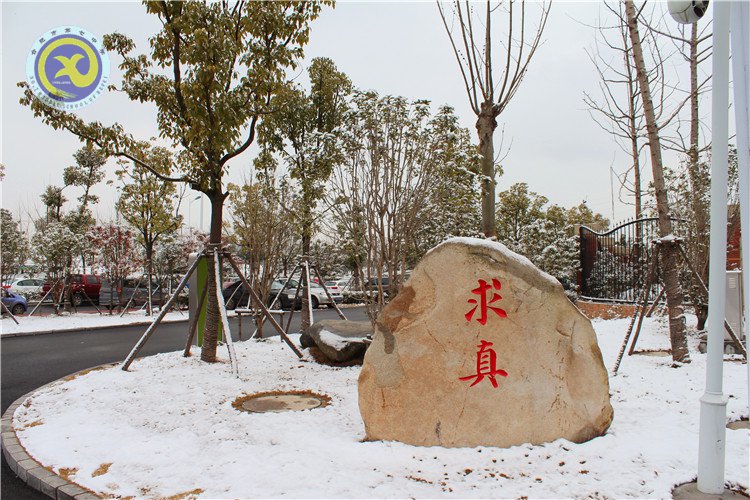 雪園“石頭記”，最美是氣質(zhì)(圖2)
