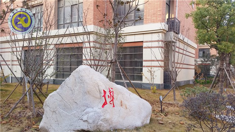 雪園“石頭記”，最美是氣質(zhì)(圖4)