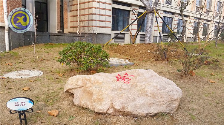 雪園“石頭記”，最美是氣質(zhì)(圖5)