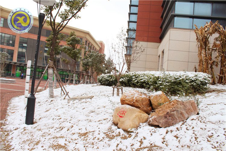 雪園“石頭記”，最美是氣質(zhì)(圖14)