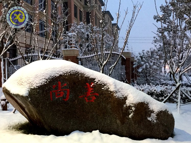 雪園“石頭記”，最美是氣質(zhì)(圖3)