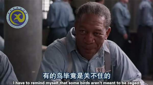 暢享視聽之趣，延伸課堂之美(圖2)
