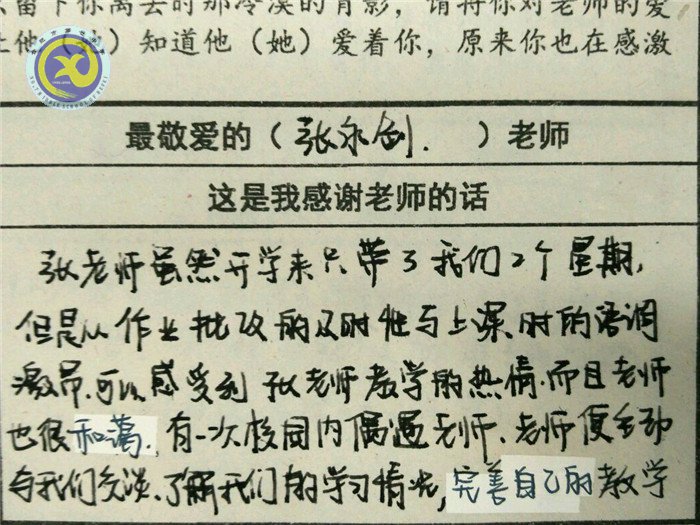 最愛哪位老師？一定投TA票哦！(圖5)