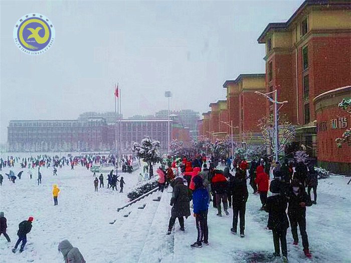 梅雪盼冬來，微笑迎春歸(圖7)