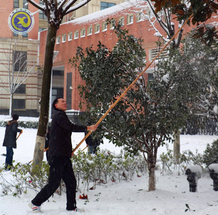 梅雪盼冬來，微笑迎春歸(圖10)