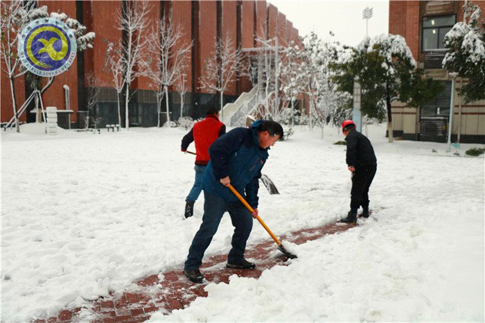 梅雪盼冬來，微笑迎春歸(圖11)