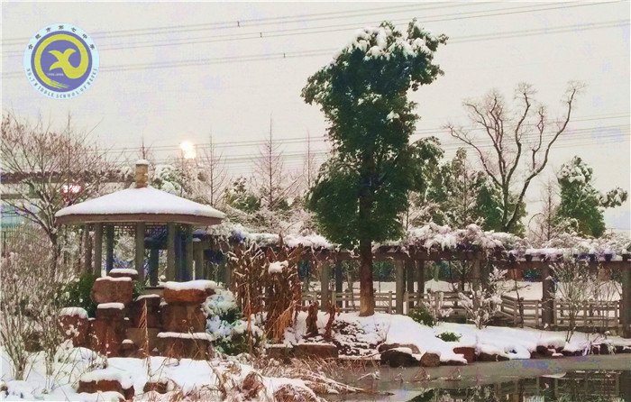 梅雪盼冬來，微笑迎春歸(圖8)
