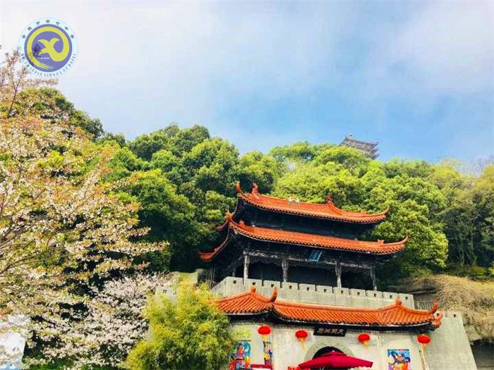 格世間萬(wàn)物，知自然之理(圖3)