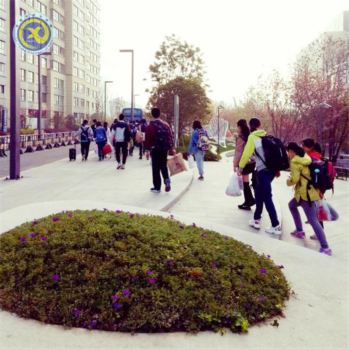 離時古寺西邊路，莘莘學子滿目中(圖1)