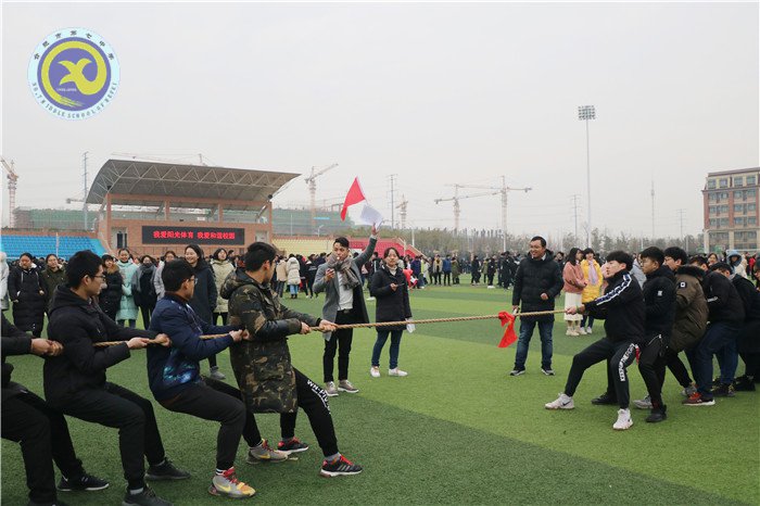 凝心聚力拔河賽，辭舊迎新戰(zhàn)高三(圖1)