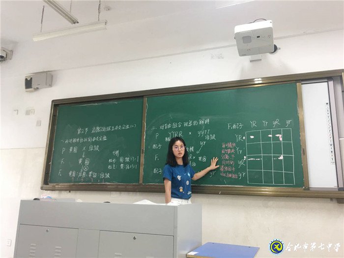 獨(dú)木不成林，集體有力量(圖4)