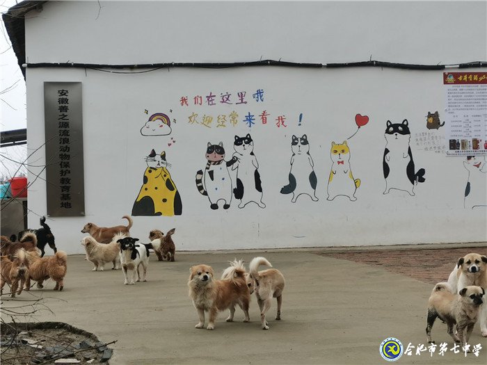 關(guān)愛生命，善待動物(圖2)