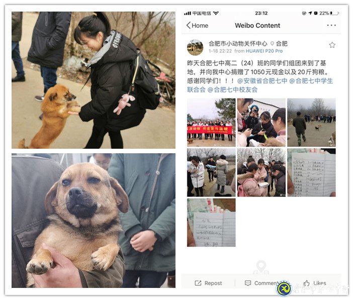 關(guān)愛生命，善待動物(圖4)