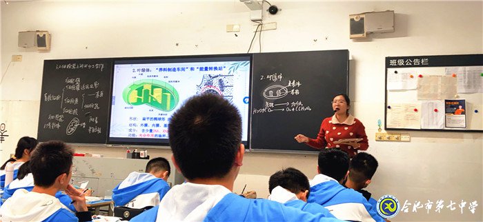 專家視導(dǎo)引方向，交流反思促提升(圖4)