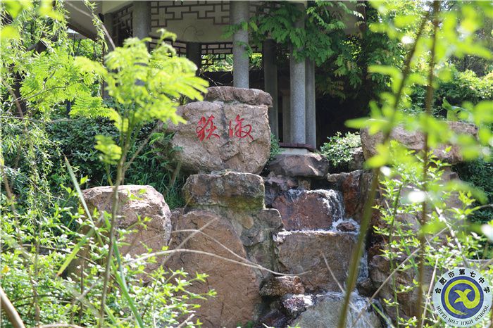 合肥七中、肥西農(nóng)興中學(xué)聯(lián)合倡議書(圖6)