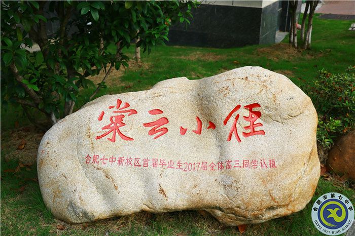 七中七心（二）——辦好人民滿意的教育，社會安心！(圖7)