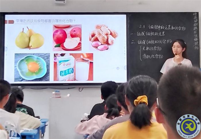 教師展風采  教研助成長(圖7)