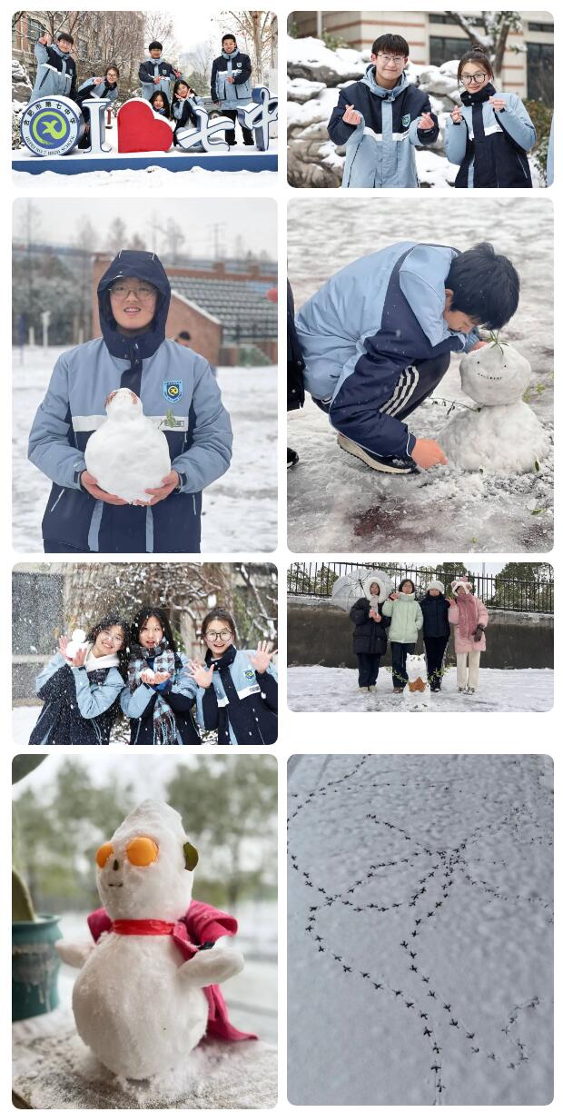 寶藏學(xué)校：每個人都期待，雪花所帶來的“活潑潑”的生命(圖9)
