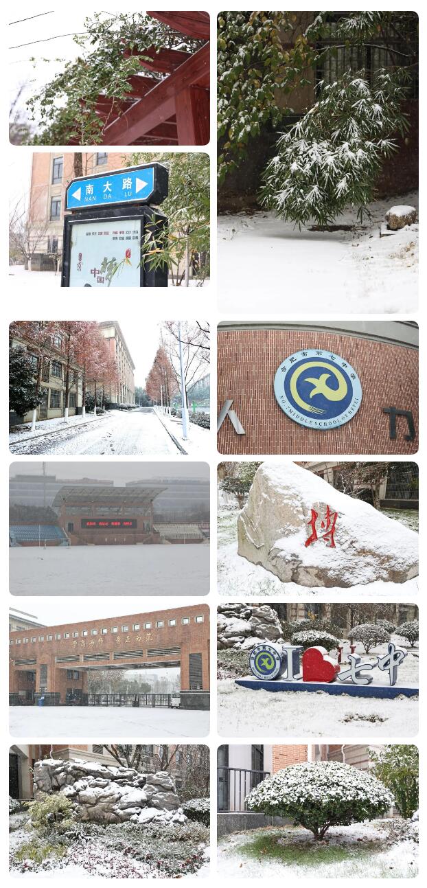 寶藏學(xué)校：每個人都期待，雪花所帶來的“活潑潑”的生命(圖5)