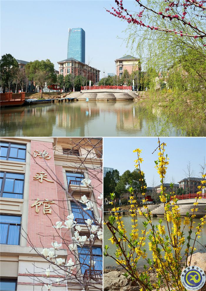 七中游，春日繽紛花滿頭(圖1)