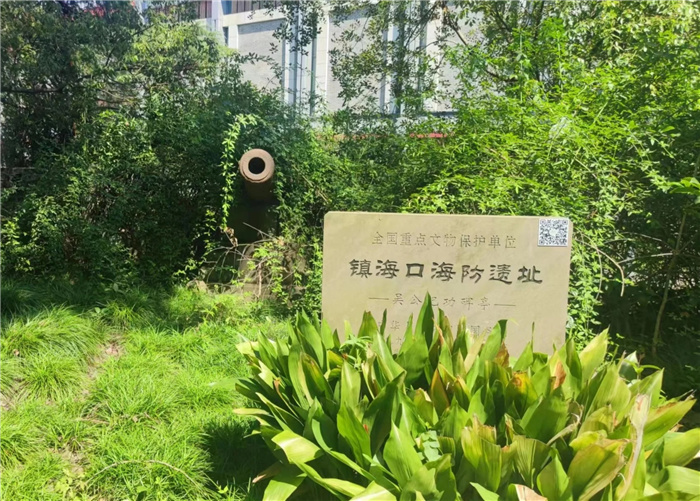 “主動(dòng)融入長(zhǎng)三角，合肥七中這樣做”之四：知己不足而后進(jìn)，望山遠(yuǎn)岐而前行(圖5)