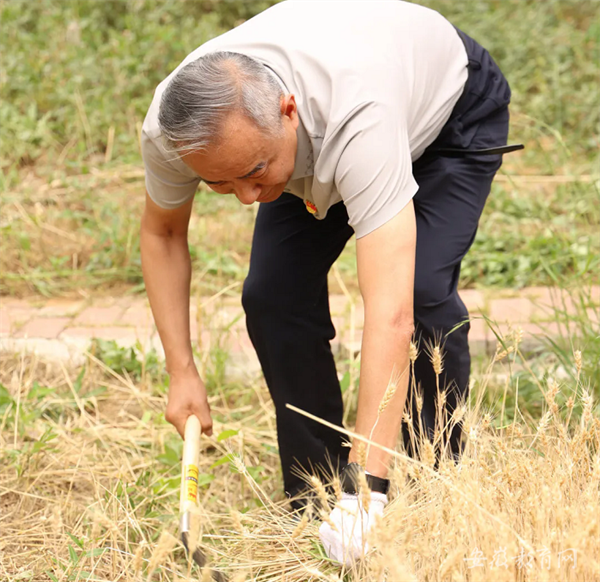 安徽省教育廳：美好生活 勞動(dòng)創(chuàng)造 合肥七中開展系列勞動(dòng)實(shí)踐教育活動(dòng)(圖2)